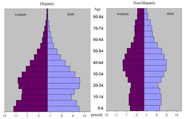 Population by Hispanic origin, age, and gender, Chicago MSA, 2000