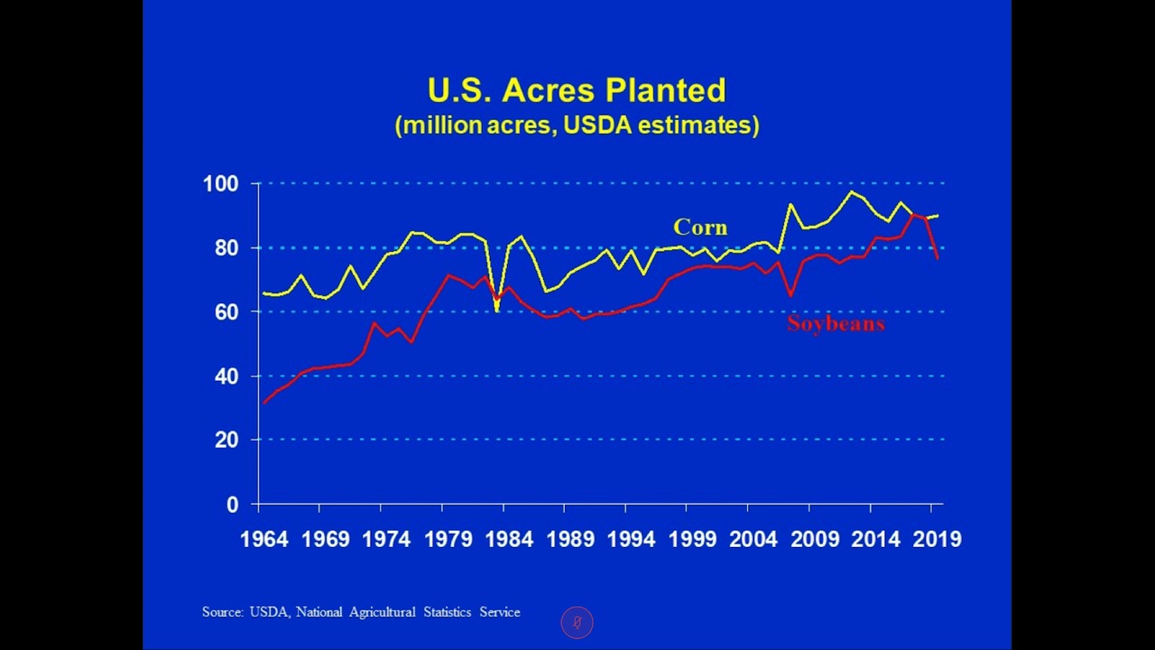 Graph showing amount of acres planted in the U.S. for corn and soybeans. Soybeans have declined in recent months.