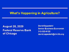 Title slide for the What's Happening in Agriculture? webinar