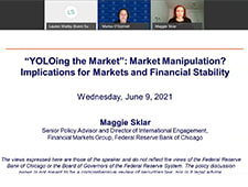 Market Manipulation and Financial Stability: YOLOing the Market