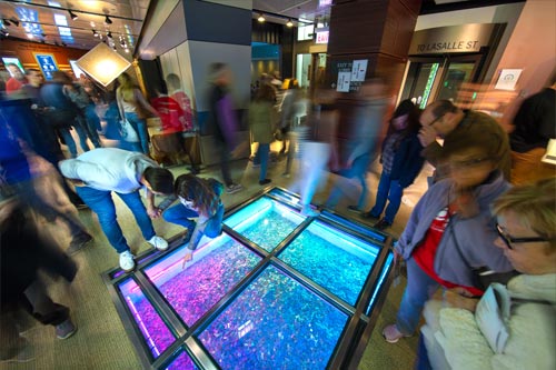 Money Museum – Money Pit