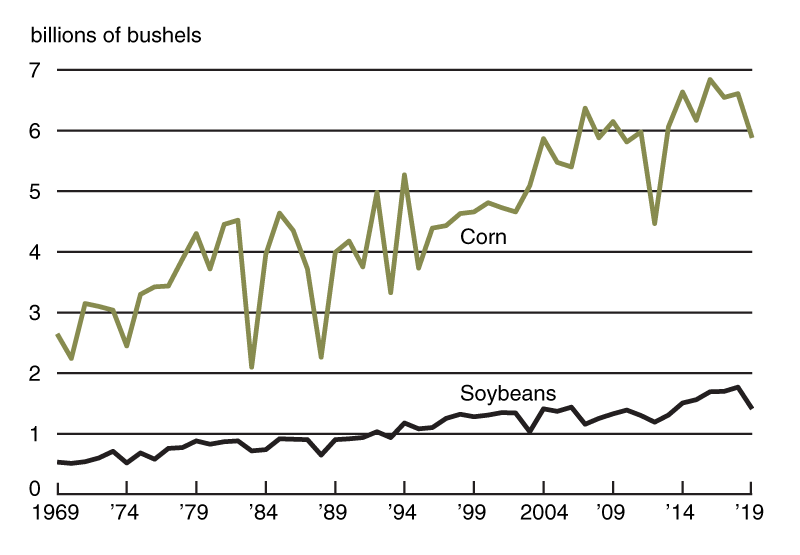 Corn and soybean production both fell from their 2018 levels.