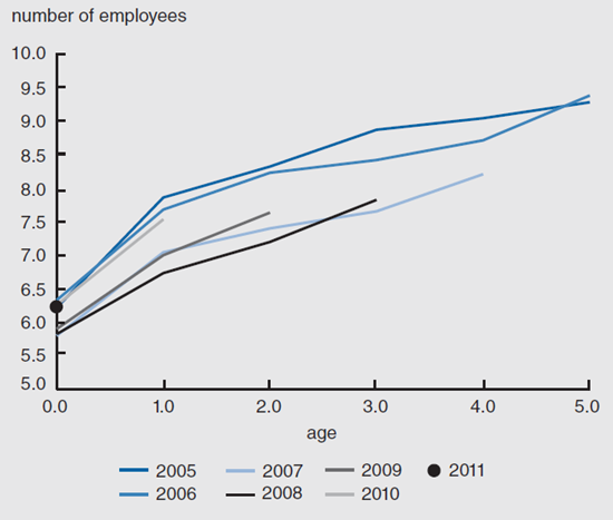 Figure 4 depicts the average firm size by age and cohort from 2005 through 2011.
