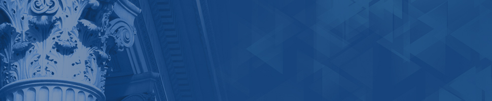 banner for omwi annual report 2015